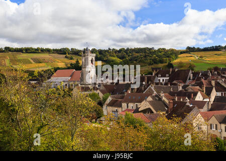 Francia, Yonne, Irancy e la caduta del vigneto Foto Stock