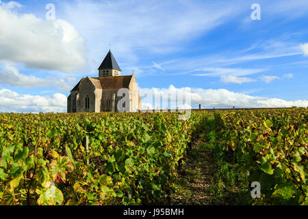 Francia, Yonne, Prehy, nei vigneti in autunno, la Chiesa di Nostra Signora Foto Stock
