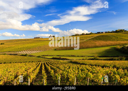 Francia, Yonne, Prehy, nei vigneti in autunno, la Chiesa di Nostra Signora Foto Stock