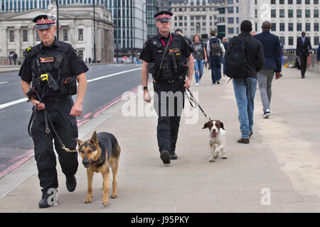 London Bridge, Londra, Regno Unito. 5° giu, 2017.La Metropolitan Police cani team sul Ponte di Londra dopo la strada è chiusa al traffico dopo il week-end di attacco terroristico in cui tre terroristi ha guidato un noleggio bianco van in pedoni fine del sabato notte e poi sono andato su persone pugnalata nei bar e nelle strade di Borough Market, Central London, England UK Credit: Jeff Gilbert/Alamy Live News Foto Stock