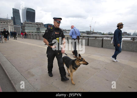 La Metropolitan Police cani team sul Ponte di Londra dopo la strada è chiusa al traffico dopo il Ponte di Londra attacco terroristico, England, Regno Unito Foto Stock