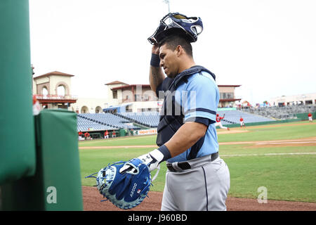 San Pietroburgo, Florida, Stati Uniti d'America. 5 Giugno, 2017. Sarà VRAGOVIC | Orari.Charlotte Stone Crabs catcher Wilson Ramos (36) passeggiate per la piroga prima di iniziare il gioco tra la pietra di Charlotte e granchi e Clearwater trinciatori al campo dello spettro in Clearwater, Florida il lunedì, 6 giugno 2017. Credito: Sarà Vragovic/Tampa Bay volte/ZUMA filo/Alamy Live News Foto Stock