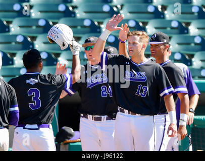 Sugar Land, TX, Stati Uniti d'America. 25 Maggio, 2017. Stephen F. Austin primo baseman Alex Hrinevich (13) congratulandosi con Stephen F. Austin infielder Eric DeJesus (3) durante il normale gioco nella conferenza del Southland NCAA baseball torneo tra New Orleans e Stephen F Austin dalla costellazione Campo in Sugar Land, TX. Immagine di credito: Maria Lysaker/Cal Sport Media/Alamy Live News Foto Stock