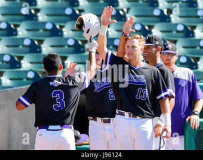 Sugar Land, TX, Stati Uniti d'America. 25 Maggio, 2017. Stephen F. Austin primo baseman Alex Hrinevich (13) congratulandosi con Stephen F. Austin infielder Eric DeJesus (3) durante il normale gioco nella conferenza del Southland NCAA baseball torneo tra New Orleans e Stephen F Austin dalla costellazione Campo in Sugar Land, TX. Immagine di credito: Maria Lysaker/Cal Sport Media/Alamy Live News Foto Stock