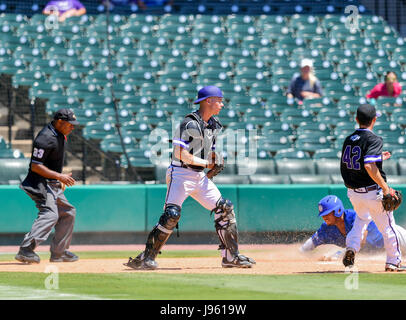 Sugar Land, TX, Stati Uniti d'America. 25 Maggio, 2017. Stephen F. Austin catcher Jarrod Huber (23) e New Orleans outfielder Ezechia Randolph (3) in corrispondenza della piastra durante il normale gioco nella conferenza del Southland NCAA baseball torneo tra New Orleans e Stephen F Austin dalla costellazione Campo in Sugar Land, TX. Immagine di credito: Maria Lysaker/Cal Sport Media/Alamy Live News Foto Stock