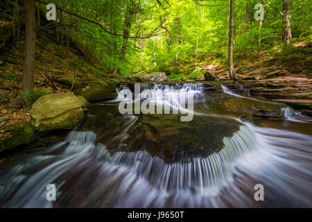 Cascate lungo Glen Leigh in Ricketts Glen State Park, Pennsylvania. Foto Stock