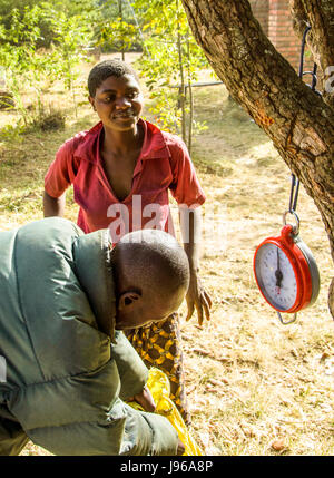 Villaggio di giovane donna vendita di granturco ad un commerciante di attesa per il sacchetto per essere pesato sotto un albero nel villaggio rurale vicino a Dedza, Malawi, Africa Foto Stock