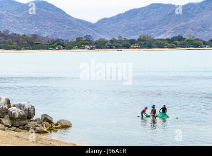 Giovani uomini con zanzariere per la cattura di pesce in Monkey Bay, il Lago Malawi, Africa Foto Stock