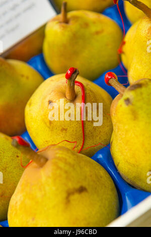 Borough Market London elegante frutta alimentari pera pere cera rossa punta Passe Crassane Italiano Pere stocchi cerata Foto Stock