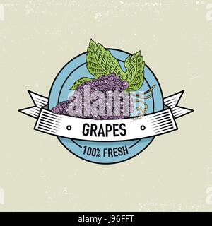 Uva Vintage, disegnati a mano frutti freschi in background, estate piante, vegetariana e agrumi biologici e altri, inciso. Illustrazione Vettoriale