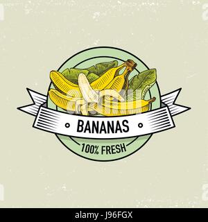 Banane Vintage, disegnati a mano frutti freschi in background, estate piante, vegetariana e agrumi biologici e altri, inciso. Illustrazione Vettoriale