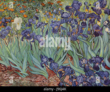 Questa voce si riferisce probabilmente a un'opera d'arte specifica del famoso pittore olandese Vincent van Gogh, famoso per le sue opere post-impressioniste, spesso raffiguranti intense emozioni e colori vivaci. Foto Stock