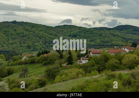 Quartiere residenziale del Villaggio bulgaro Plana nella foresta e vari alberi con nuove foglie e sbocciano i fiori di primavera, Plana mountain, Bulgaria Foto Stock