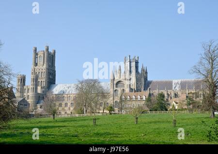 Cattedrale di Ely con campi in primo piano Foto Stock