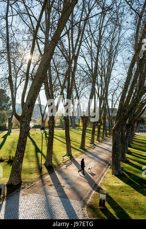 Mouchao Parco in inverno. Un' oasi di tranquillità nel centro della città storica di Tomar. Portogallo Foto Stock