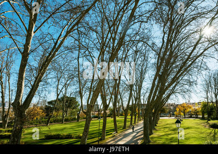 Mouchao Parco in inverno. Un' oasi di tranquillità nel centro della città storica di Tomar. Portogallo Foto Stock