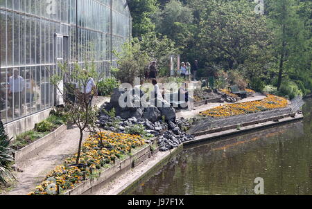 Serra a Hortus Botanicus giardino botanico nel quartiere Plantage di Amsterdam, Paesi Bassi. Uno dei più antichi al mondo. Foto Stock