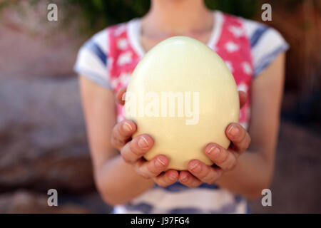 Donna che mantiene uovo di struzzo nelle sue mani, Ranch Koiimasis, Namibia.llife Foto Stock