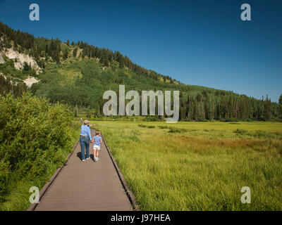 Stati Uniti d'America, Utah, Lake City Girl (4-5) con la nonna a piedi sul lungomare attraverso paludi Foto Stock