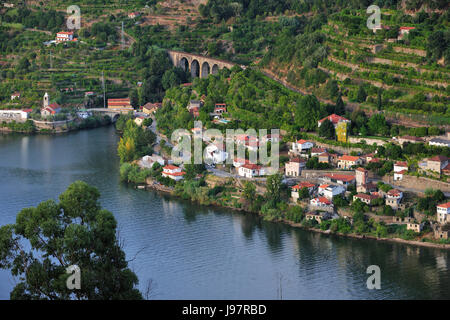 Il fiume Douro a Porto Manso, Cinfães do Douro. Portogallo Foto Stock