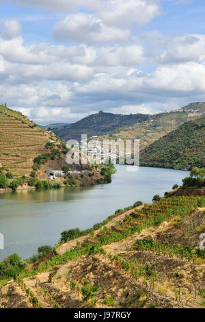 Il fiume Douro e i vigneti terrazzati del vino di Porto vicino Pinhão. Un sito Patrimonio Mondiale dell'Unesco, Portogallo Foto Stock