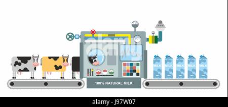 Infographics la produzione di latte. Fasi di produzione di latte di vacca. Nastro trasportatore con le mucche. Prodotto naturale. Illustrazione Vettoriale. La produzione del sistema o Illustrazione Vettoriale