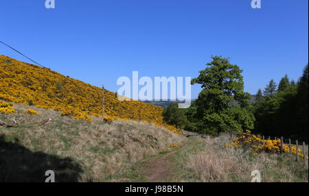 Cateran Trail tra Alyth e Kirkton Of Glenisla Scozia Maggio 2017 Foto Stock