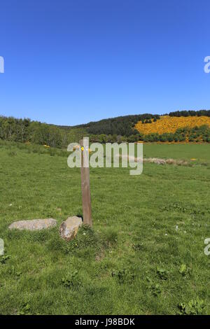 Cateran Trail tra Alyth e Kirkton Of Glenisla Scozia Maggio 2017 Foto Stock