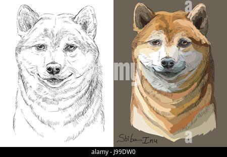 Colorato su sfondo marrone e bianco e nero Shiba Inu ritratto del vettore Illustrazione Vettoriale