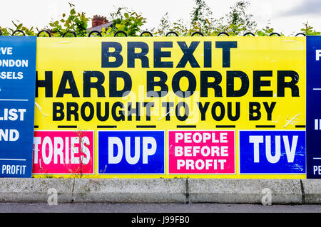 Cartellone elettorale 'Brexit difficile frontiera, è portato a voi dai conservatori, DUP, la gente prima del profitto, TUV' Foto Stock