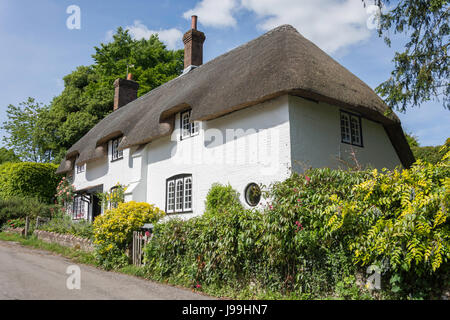 Cottage con il tetto di paglia, Church Lane, West Meon, Hampshire, Inghilterra, Regno Unito Foto Stock