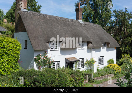 Cottage con il tetto di paglia, Church Lane, West Meon, Hampshire, Inghilterra, Regno Unito Foto Stock