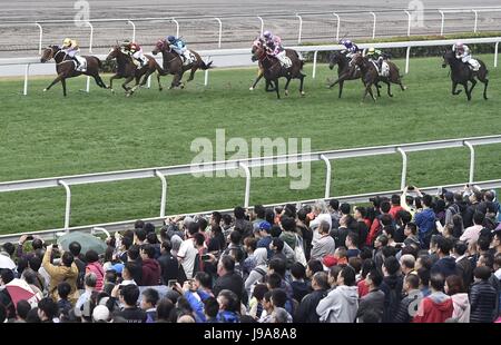 Hong Kong, Cina. 30 gen, 2017. Un cavallo di razza è tenuto a Sha Tin Racecourse a Hong Kong, Cina del sud, Gennaio 30, 2017. Luglio 1, 2017 ricorre il ventesimo anniversario di il ritorno di Hong Kong alla madrepatria. Credito: Wang Shen/Xinhua/Alamy Live News Foto Stock