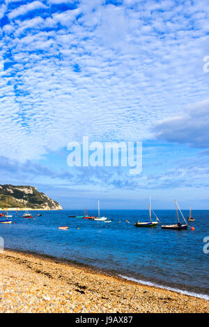 Barche a vela ormeggiata nella baia Ringstead, Dorset, England, Regno Unito, in estate Foto Stock