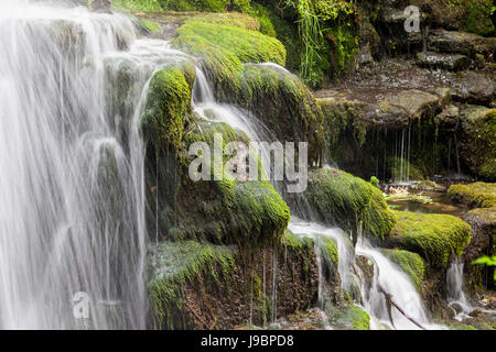 Hamiltons Cascade Waterfall, Bowood Estate, Wiltshire, Inghilterra, Regno Unito Foto Stock