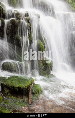 Cascata Hamiltons Cascade, Bowood, Wiltshire, Inghilterra, Regno Unito Foto Stock