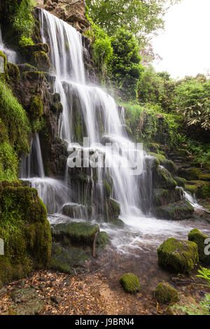 Hamiltons Cascade Waterfall, Bowood Estate, Wiltshire, Inghilterra, Regno Unito Foto Stock