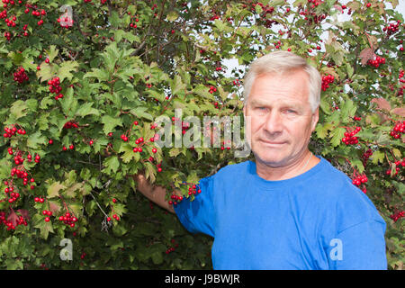 Uomo anziano su uno sfondo di colore rosso bush pallon di maggio Foto Stock