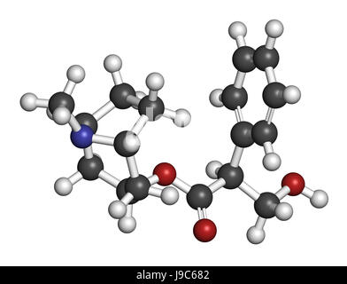 Iosciamina alcaloide molecola. Fonti di erbe includono henbane, Mandrake, jimsonweed, belladonna e pomodoro. Il rendering 3D. Gli atomi sono rappresentati Foto Stock