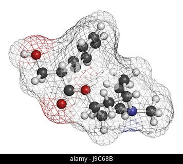 Iosciamina alcaloide molecola. Fonti di erbe includono henbane, Mandrake, jimsonweed, belladonna e pomodoro. Il rendering 3D. Gli atomi sono rappresentati Foto Stock