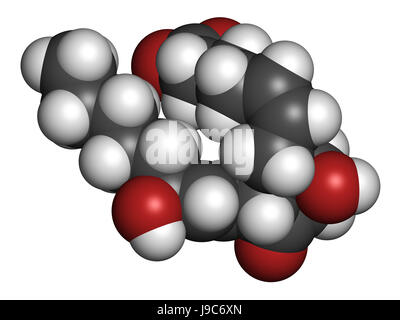 La prostaglandina D2 (PGD2 molecola). Il rendering 3D. Gli atomi sono rappresentati come sfere con i tradizionali colori: idrogeno (bianco), carbonio (grigio), ossig Foto Stock