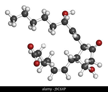 La prostaglandina D2 (PGD2 molecola). Il rendering 3D. Gli atomi sono rappresentati come sfere con i tradizionali colori: idrogeno (bianco), carbonio (grigio), ossig Foto Stock