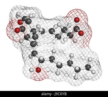 La prostaglandina D2 (PGD2 molecola). Il rendering 3D. Gli atomi sono rappresentati come sfere con i tradizionali colori: idrogeno (bianco), carbonio (grigio), ossig Foto Stock