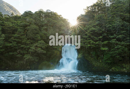 Sunshine, cascata nella foresta, Iris masterizzare cade, Kepler Tack, Parco Nazionale di Fiordland, Southland, Nuova Zelanda Foto Stock