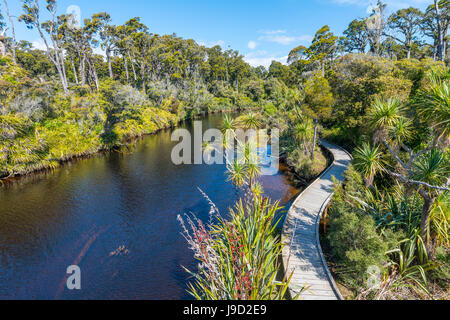 Fiume con il percorso, nave Creek, moderata nella foresta pluviale, Haast, West Coast, Nuova Zelanda Foto Stock