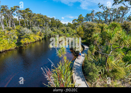 Escursionista femmina al fiume con il percorso, nave Creek, pioggia moderata foresta, Haast, West Coast, Nuova Zelanda Foto Stock