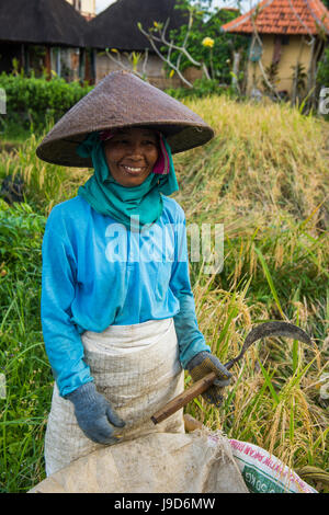 Donna locale a lavorare nelle risaie, Ubud, Bali, Indonesia, Asia sud-orientale, Asia Foto Stock