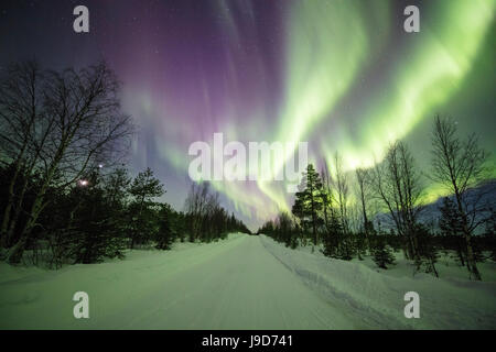 Luci colorate delle luci del nord (Aurora Boreale e il cielo stellato su i boschi innevati, Levi, Sirkka, Kittila, Finlandia Foto Stock