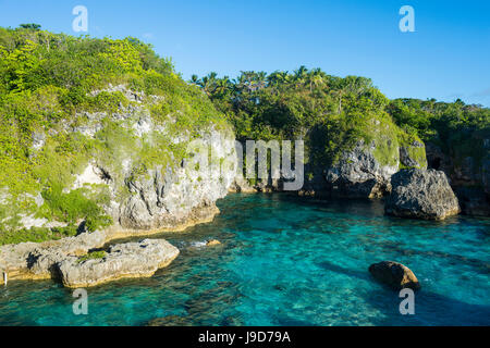 Acque turchesi in Limu bassa marea piscine, Niue, South Pacific Pacific Foto Stock