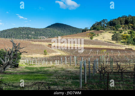 Vista sopra la regione vinicola della Hunter Valley, Nuovo Galles del Sud, Australia Pacific Foto Stock